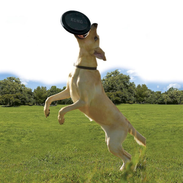Chuckit! Paraflight Flying Disc Nylon Frisbee Dog Toy For Pools Large 10 25 For Dogs 60 100 Lb Multicolor